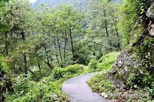 极限水上摩托